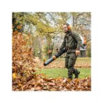 Souffleur à dos BR800 C-E STIHL – Image 3